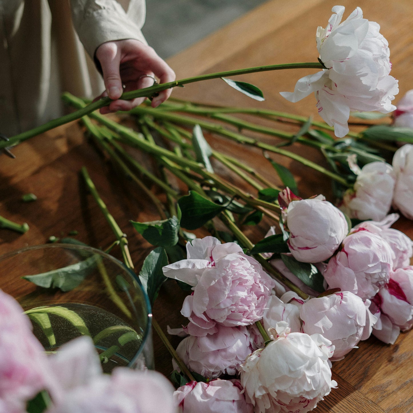 Peonies