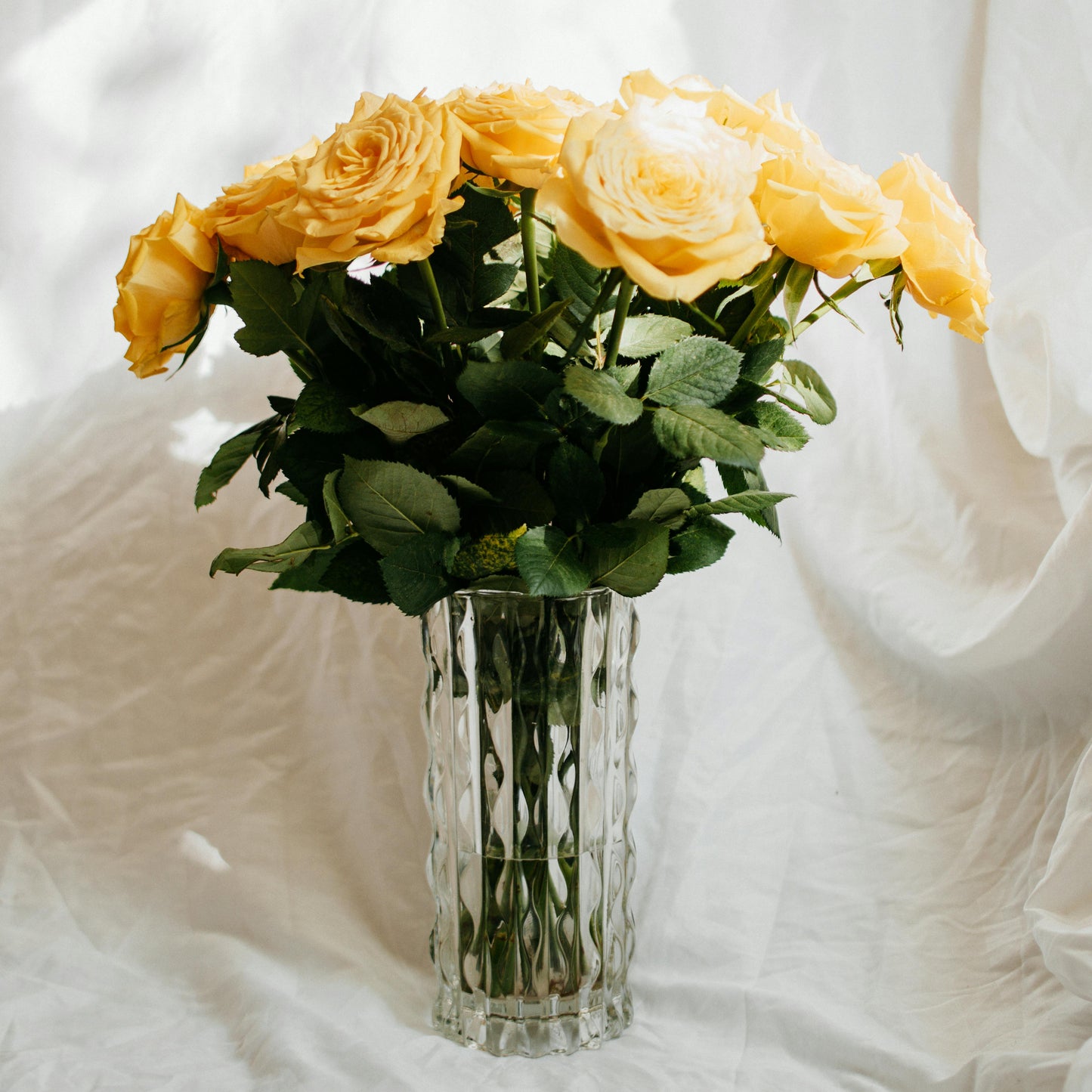 Roses